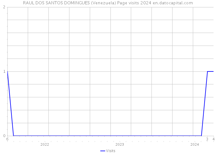 RAUL DOS SANTOS DOMINGUES (Venezuela) Page visits 2024 