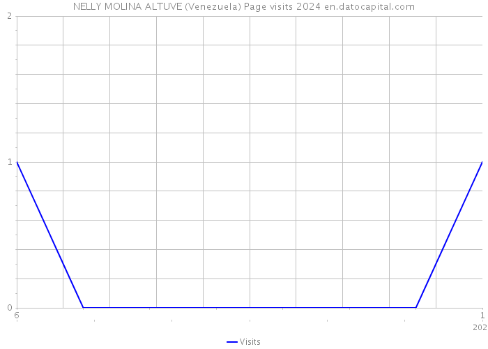 NELLY MOLINA ALTUVE (Venezuela) Page visits 2024 