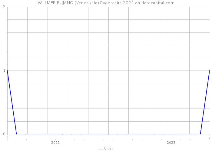 WILLMER RUJANO (Venezuela) Page visits 2024 