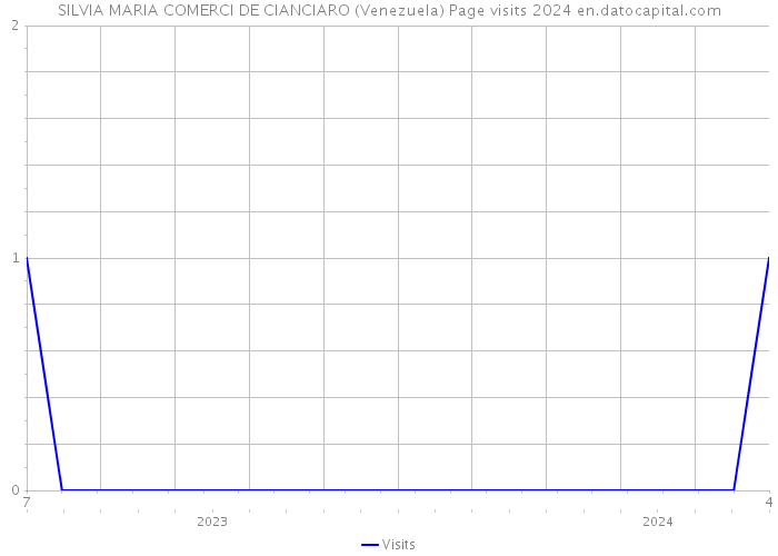 SILVIA MARIA COMERCI DE CIANCIARO (Venezuela) Page visits 2024 