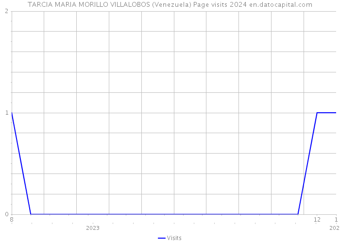 TARCIA MARIA MORILLO VILLALOBOS (Venezuela) Page visits 2024 