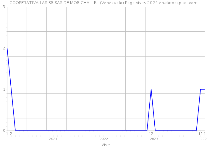 COOPERATIVA LAS BRISAS DE MORICHAL, RL (Venezuela) Page visits 2024 