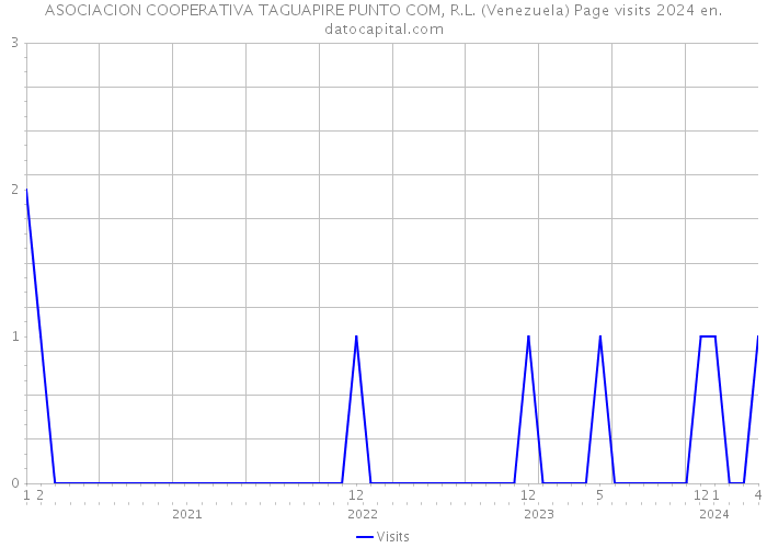 ASOCIACION COOPERATIVA TAGUAPIRE PUNTO COM, R.L. (Venezuela) Page visits 2024 
