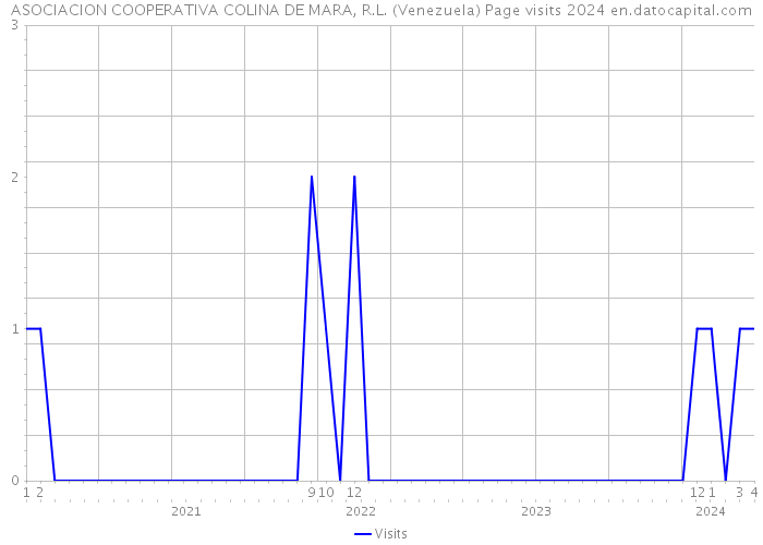 ASOCIACION COOPERATIVA COLINA DE MARA, R.L. (Venezuela) Page visits 2024 