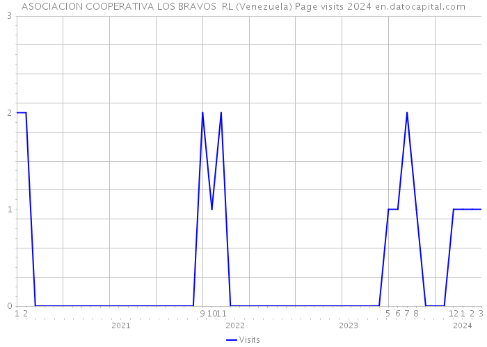 ASOCIACION COOPERATIVA LOS BRAVOS RL (Venezuela) Page visits 2024 
