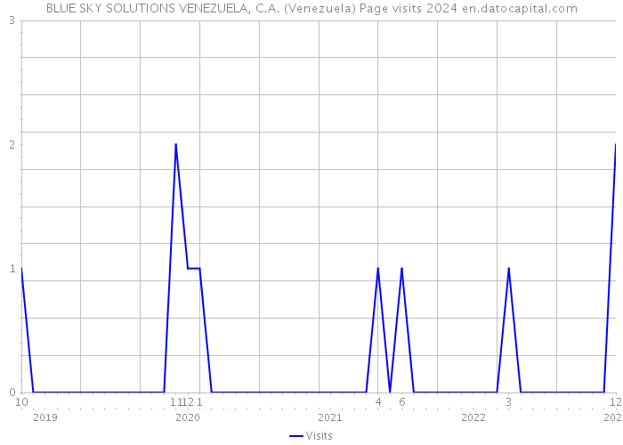 BLUE SKY SOLUTIONS VENEZUELA, C.A. (Venezuela) Page visits 2024 