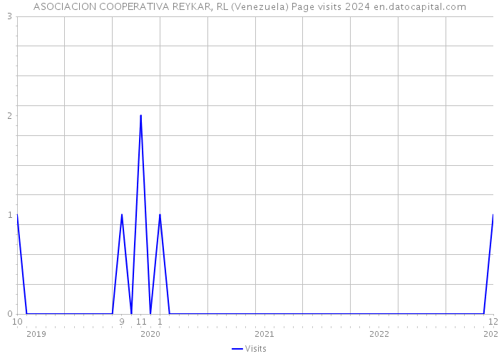 ASOCIACION COOPERATIVA REYKAR, RL (Venezuela) Page visits 2024 