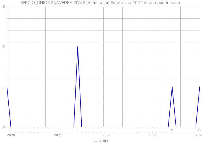 SERGIO JUNIOR SAAVEDRA RIVAS (Venezuela) Page visits 2024 
