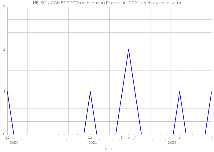 NELSON GOMEZ SOTO (Venezuela) Page visits 2024 