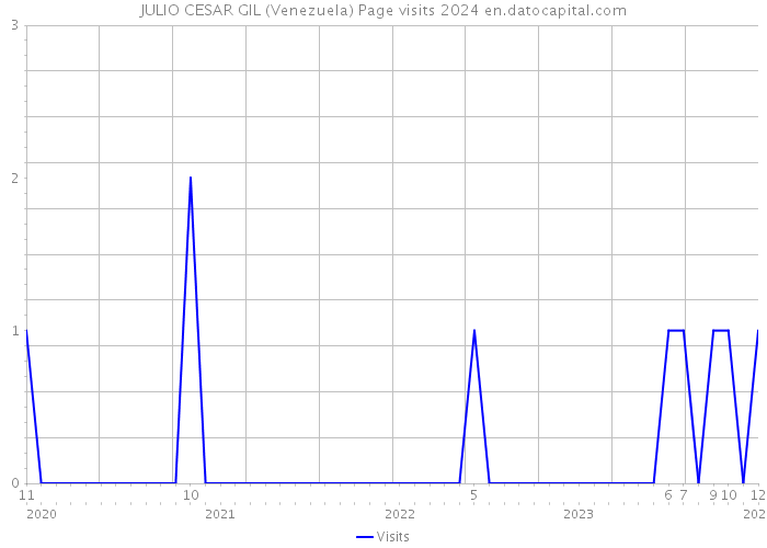 JULIO CESAR GIL (Venezuela) Page visits 2024 