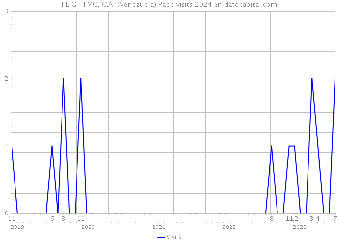 FLIGTH MG, C.A. (Venezuela) Page visits 2024 