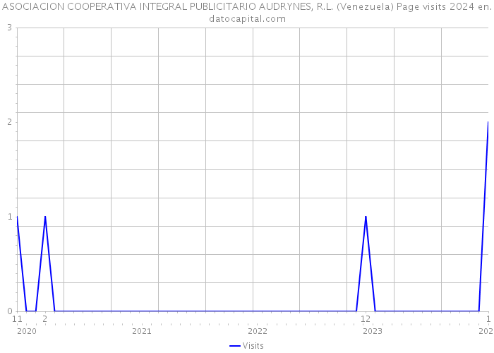 ASOCIACION COOPERATIVA INTEGRAL PUBLICITARIO AUDRYNES, R.L. (Venezuela) Page visits 2024 