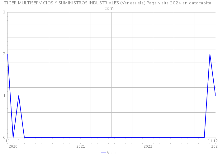 TIGER MULTISERVICIOS Y SUMINISTROS INDUSTRIALES (Venezuela) Page visits 2024 