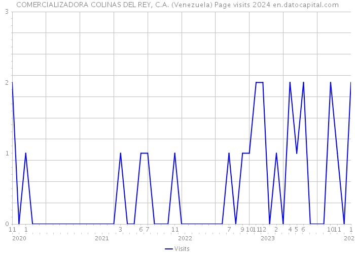 COMERCIALIZADORA COLINAS DEL REY, C.A. (Venezuela) Page visits 2024 