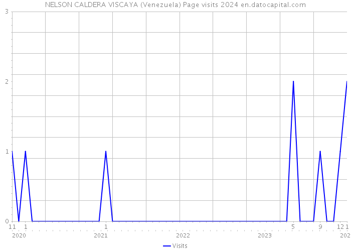 NELSON CALDERA VISCAYA (Venezuela) Page visits 2024 