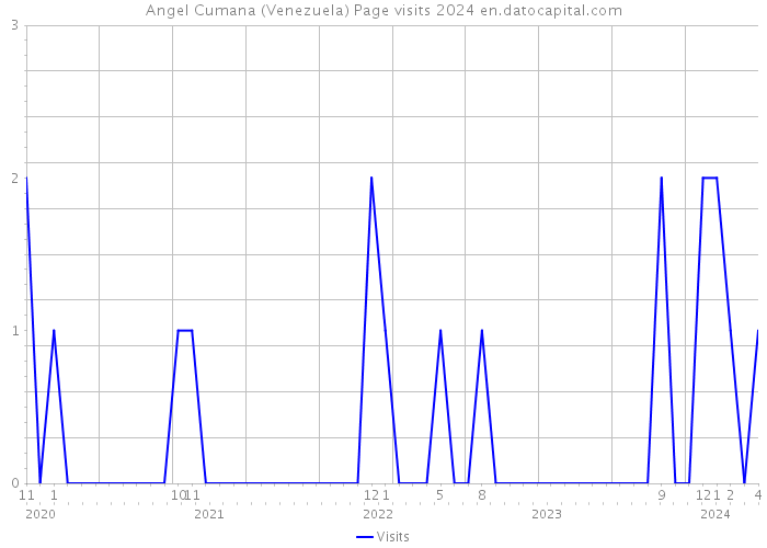 Angel Cumana (Venezuela) Page visits 2024 
