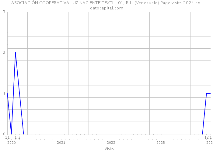 ASOCIACIÓN COOPERATIVA LUZ NACIENTE TEXTIL 01, R.L. (Venezuela) Page visits 2024 