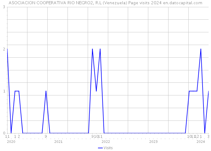 ASOCIACION COOPERATIVA RIO NEGRO2, R.L (Venezuela) Page visits 2024 