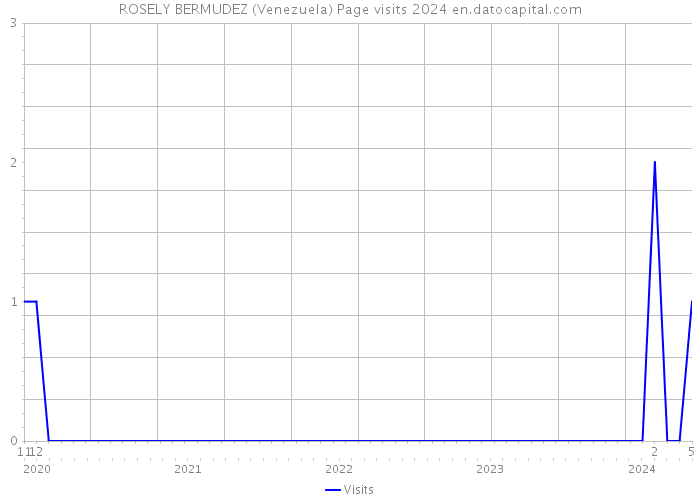 ROSELY BERMUDEZ (Venezuela) Page visits 2024 