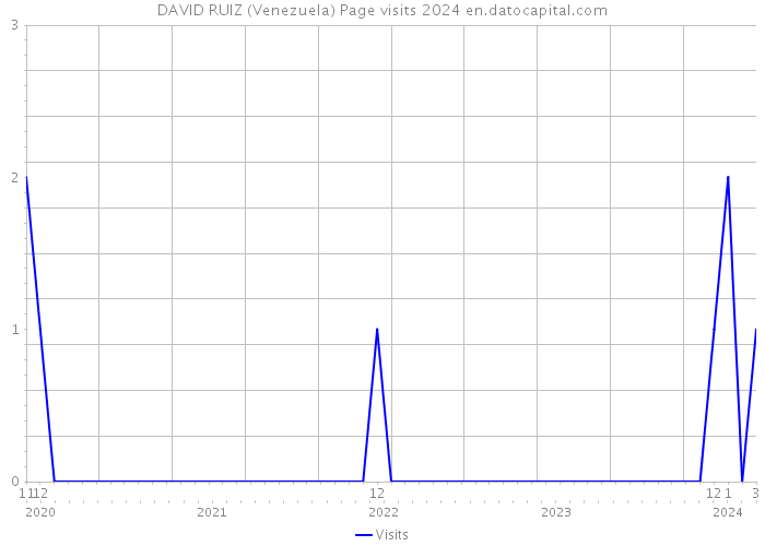 DAVID RUIZ (Venezuela) Page visits 2024 