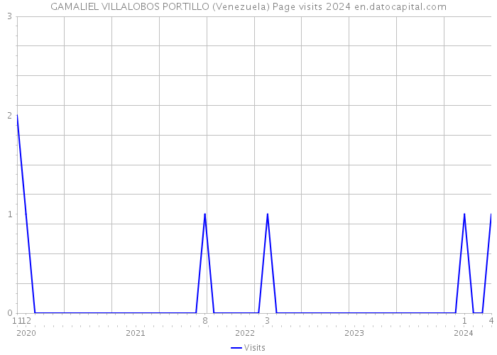 GAMALIEL VILLALOBOS PORTILLO (Venezuela) Page visits 2024 