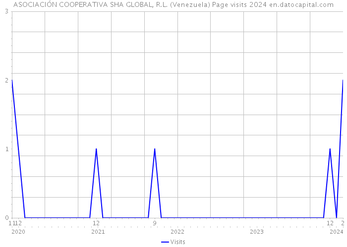 ASOCIACIÓN COOPERATIVA SHA GLOBAL, R.L. (Venezuela) Page visits 2024 