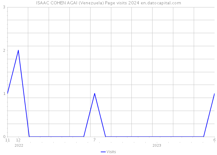 ISAAC COHEN AGAI (Venezuela) Page visits 2024 