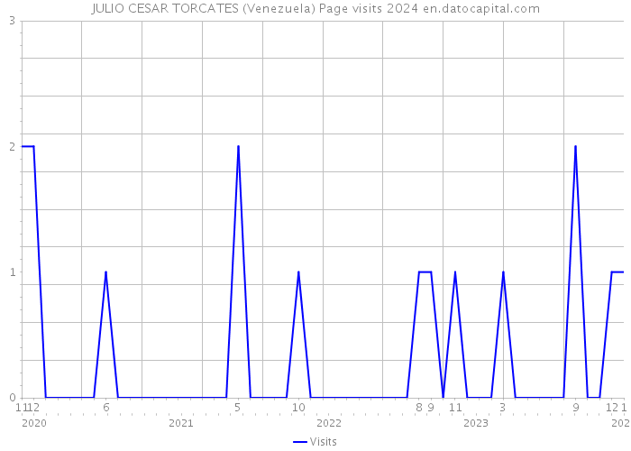 JULIO CESAR TORCATES (Venezuela) Page visits 2024 
