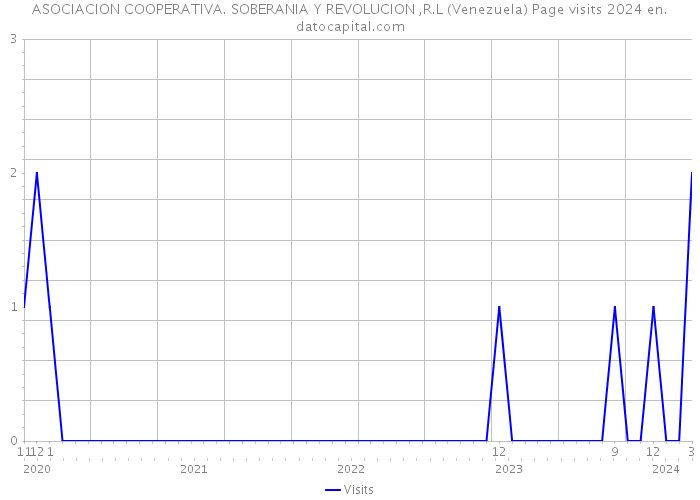 ASOCIACION COOPERATIVA. SOBERANIA Y REVOLUCION ,R.L (Venezuela) Page visits 2024 