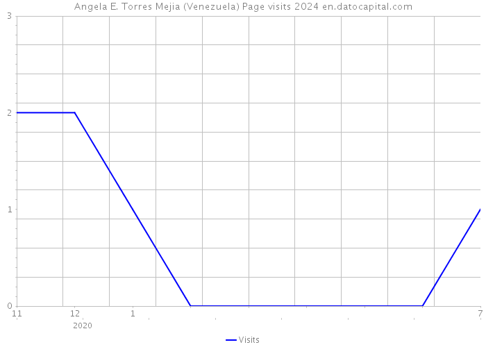 Angela E. Torres Mejia (Venezuela) Page visits 2024 