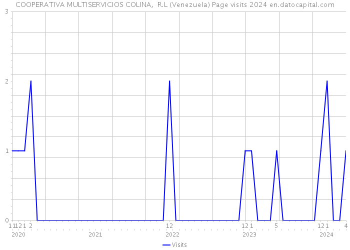COOPERATIVA MULTISERVICIOS COLINA, R.L (Venezuela) Page visits 2024 