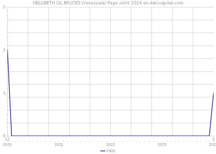 NELLIBETH GIL BRUCES (Venezuela) Page visits 2024 