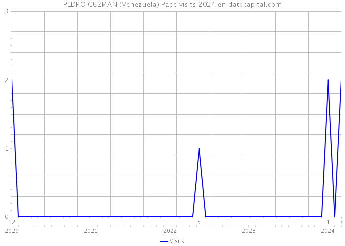 PEDRO GUZMAN (Venezuela) Page visits 2024 