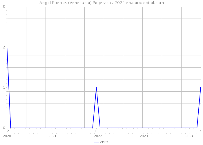 Angel Puertas (Venezuela) Page visits 2024 
