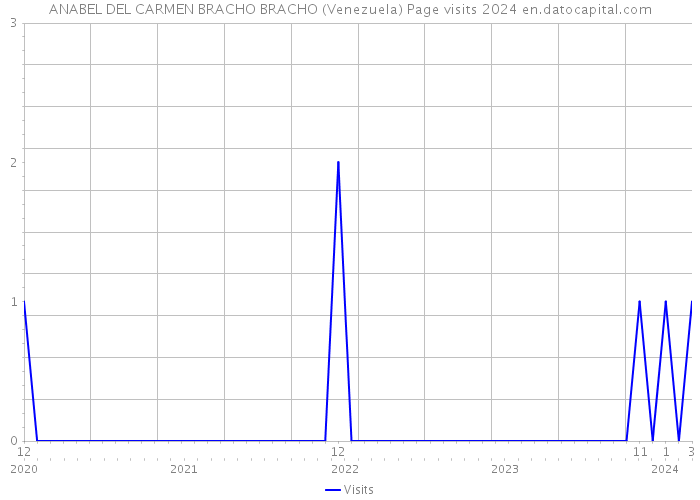 ANABEL DEL CARMEN BRACHO BRACHO (Venezuela) Page visits 2024 