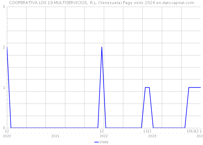 COOPERATIVA LOS 19 MULTISERVICIOS, R.L. (Venezuela) Page visits 2024 