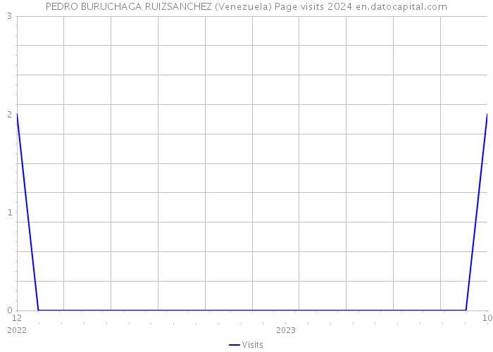 PEDRO BURUCHAGA RUIZSANCHEZ (Venezuela) Page visits 2024 