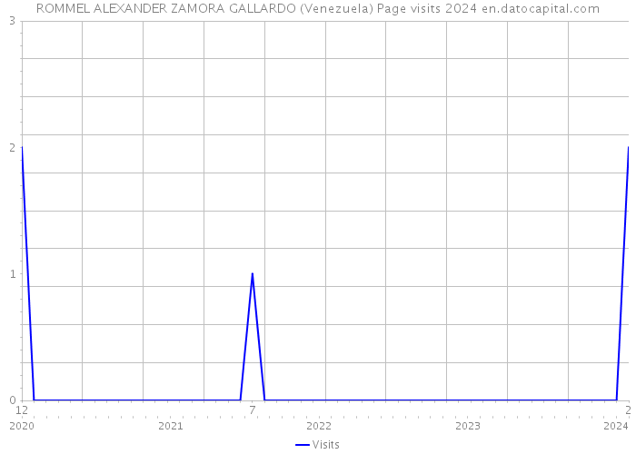 ROMMEL ALEXANDER ZAMORA GALLARDO (Venezuela) Page visits 2024 