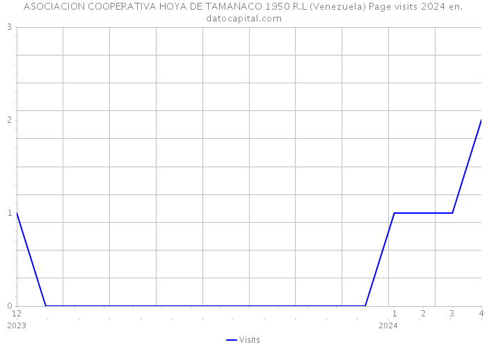 ASOCIACION COOPERATIVA HOYA DE TAMANACO 1950 R.L (Venezuela) Page visits 2024 