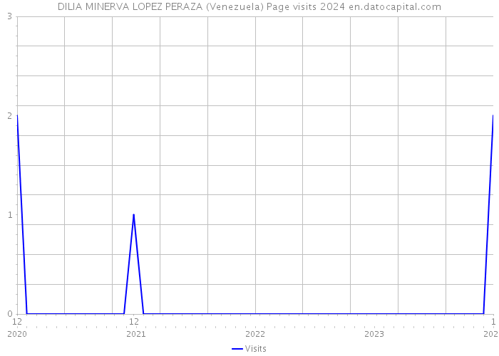 DILIA MINERVA LOPEZ PERAZA (Venezuela) Page visits 2024 