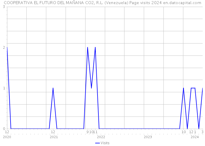 COOPERATIVA EL FUTURO DEL MAÑANA CO2, R.L. (Venezuela) Page visits 2024 