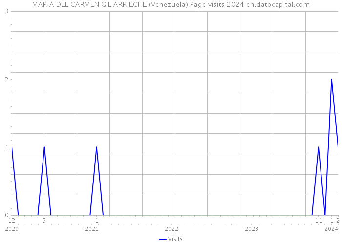 MARIA DEL CARMEN GIL ARRIECHE (Venezuela) Page visits 2024 