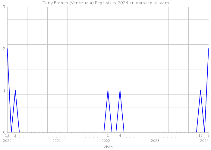 Tony Branch (Venezuela) Page visits 2024 