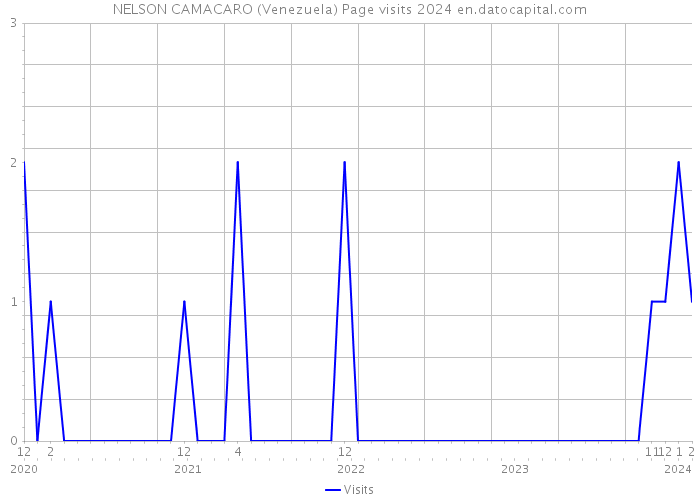NELSON CAMACARO (Venezuela) Page visits 2024 