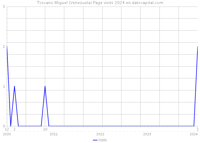 Toscano Miguel (Venezuela) Page visits 2024 