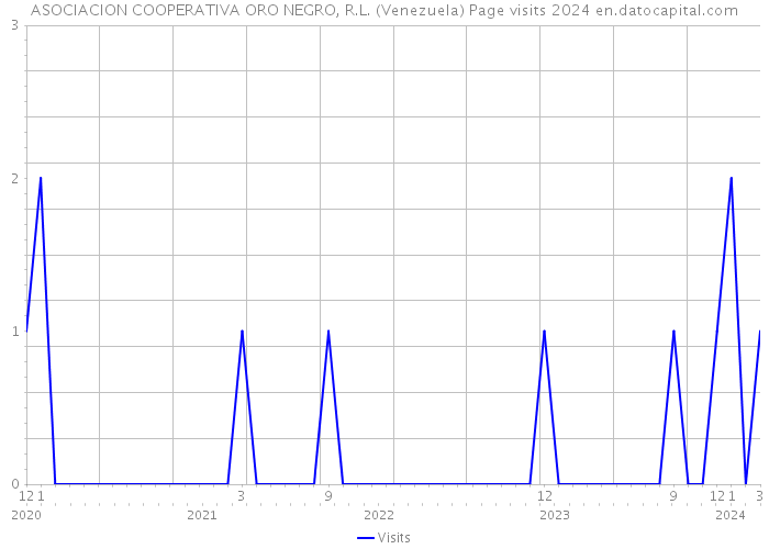 ASOCIACION COOPERATIVA ORO NEGRO, R.L. (Venezuela) Page visits 2024 