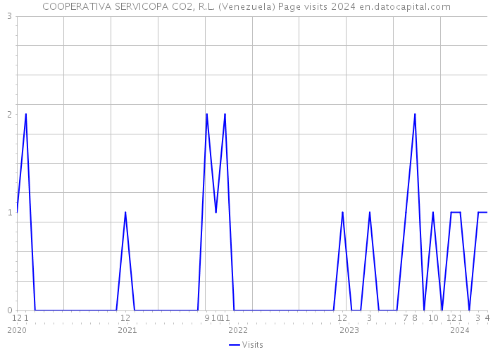 COOPERATIVA SERVICOPA CO2, R.L. (Venezuela) Page visits 2024 