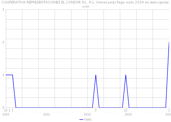 COOPERATIVA REPRESENTACIONES EL CONDOR 81, R.L. (Venezuela) Page visits 2024 