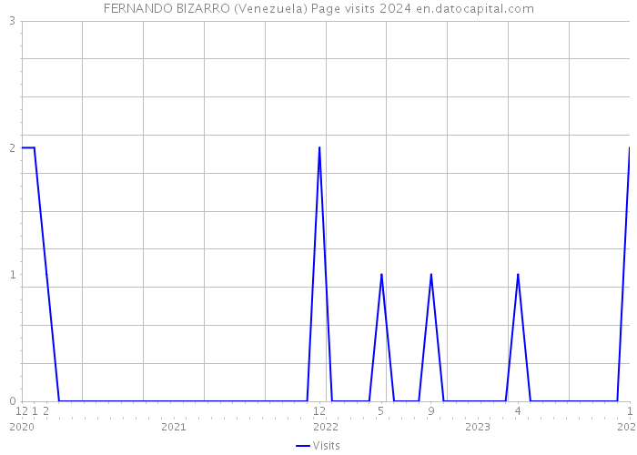 FERNANDO BIZARRO (Venezuela) Page visits 2024 