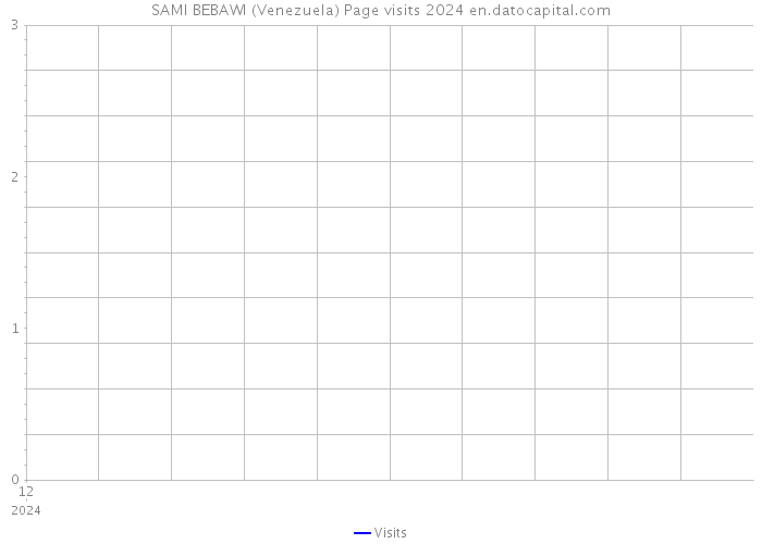 SAMI BEBAWI (Venezuela) Page visits 2024 